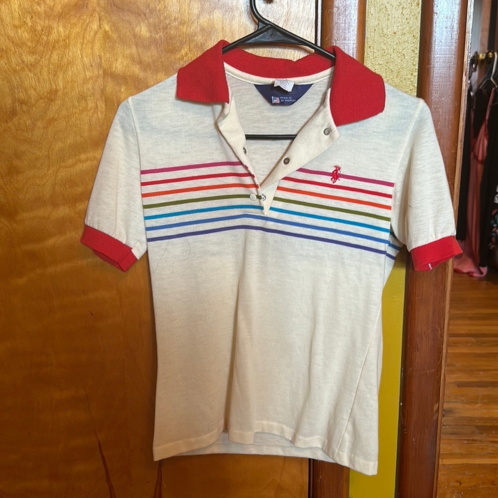 A collared tshirt with multi colored stripes